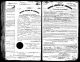 Johan Albert Palmgren född Persson, farfars fars (Ernst Hallenbergs) kusin, söker medborgarskap i USA